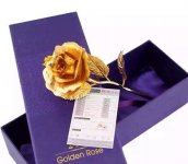 �ʝ������y�w�y�(j��ng)�I(y��ng)��